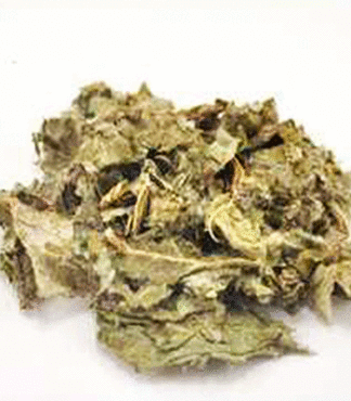 Comprar-alcachofera-hojas-Hierbalia