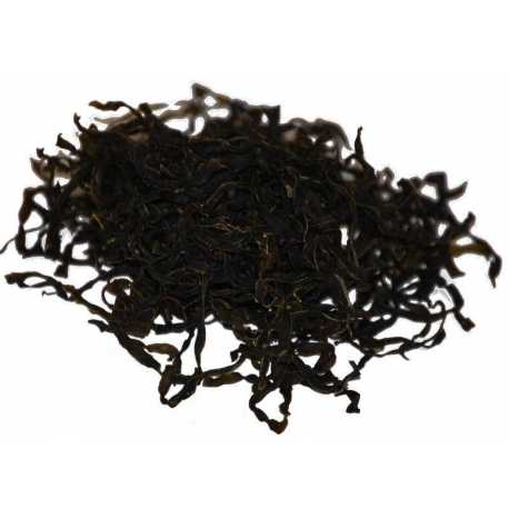 Alga Kombu Juliana