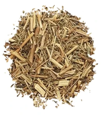 Abrotano planta cortada