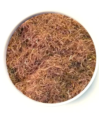 Estigma de Maíz planta cortada
