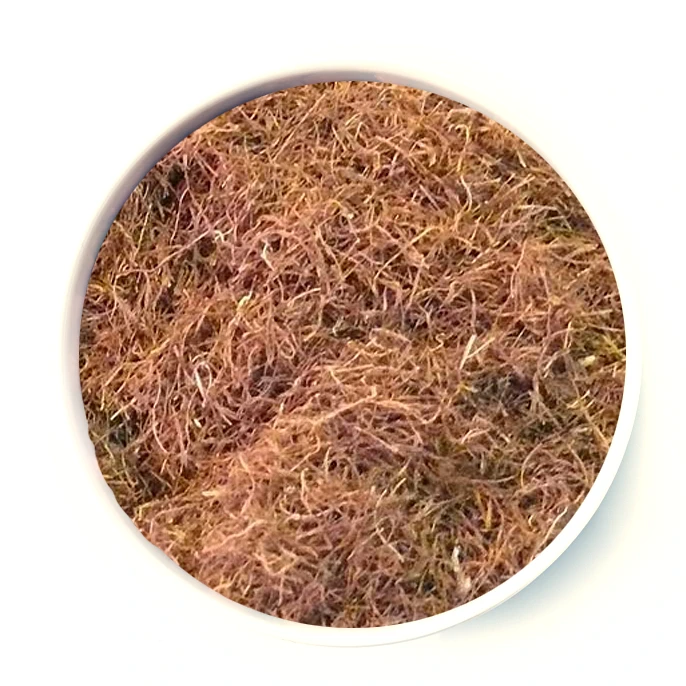 Estigma de Maíz planta cortada